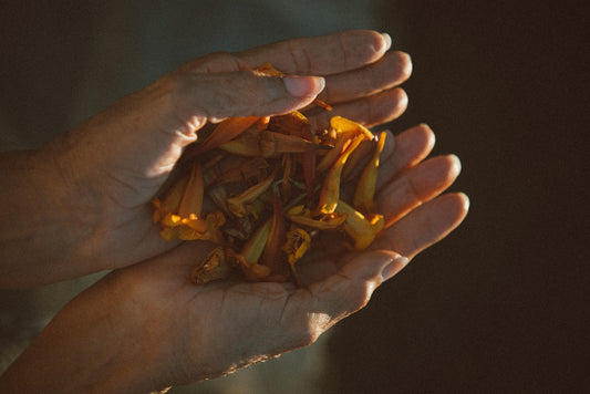 The Power of Scent and the Art of Memory